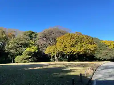 明治神宮(東京都)