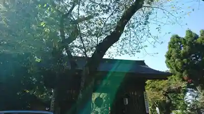 愛宕神社(宮城県)