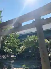 白龍神社の鳥居