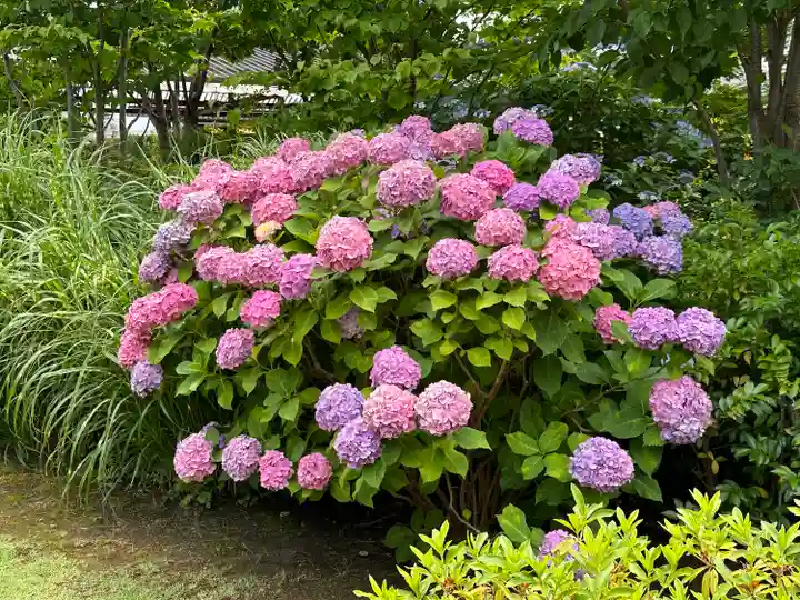 三囲神社(三圍神社)日本橋摂社(東京都)