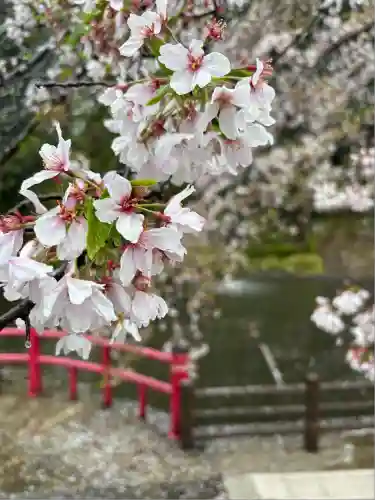 間々田八幡宮(栃木県)