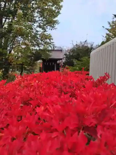 厚別神社(北海道)