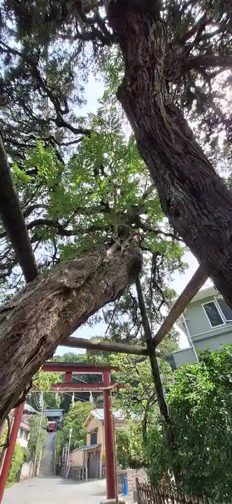 荏柄天神社(神奈川県)