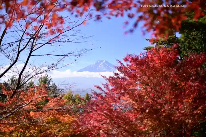 新倉富士浅間神社(山梨県)