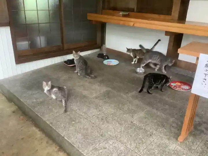 玉野御嶽神社の動物