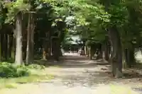 桜町二宮神社の自然