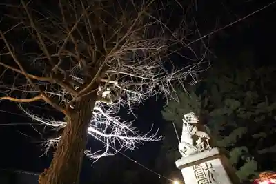 石神井氷川神社(東京都)