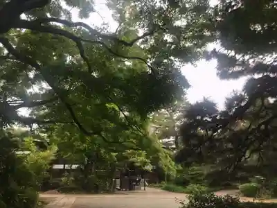 醫王寺の自然