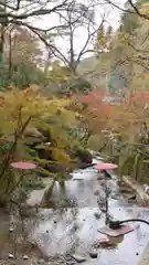 貴船神社の庭園