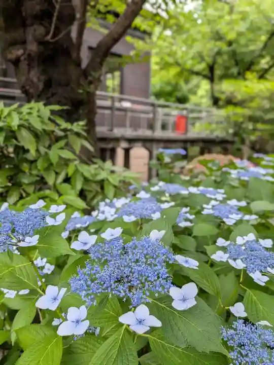 乃木神社(東京都)