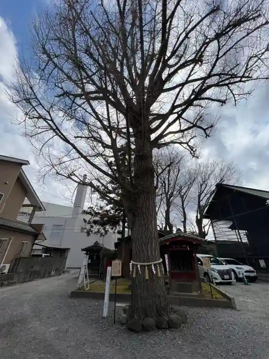 取手八坂神社(茨城県)