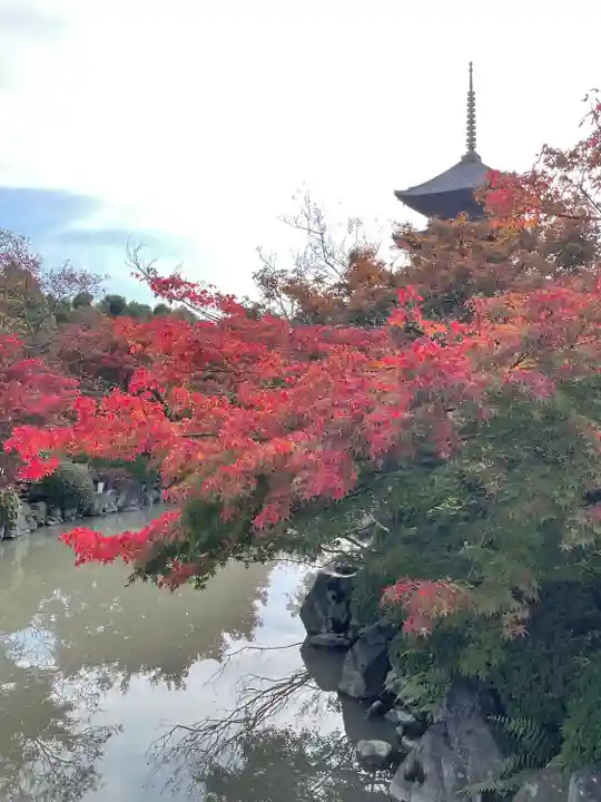 東寺(教王護国寺)(京都府)