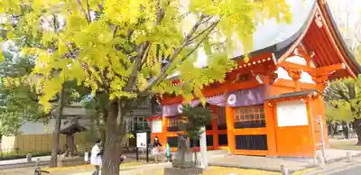 葛飾八幡宮の山門・神門