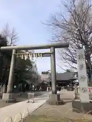 浅草神社の鳥居