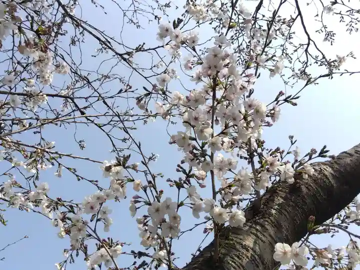 稲田神社(豊川進雄神社御旅所)(愛知県)