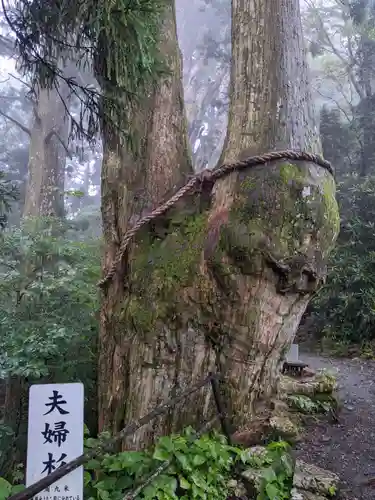 玉置神社(奈良県)