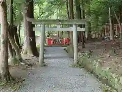 出雲大神宮の鳥居