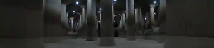 西金野井稲荷神社(埼玉県)