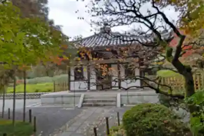 龍安寺(京都府)