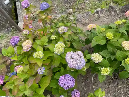 神宮寺(広島県)