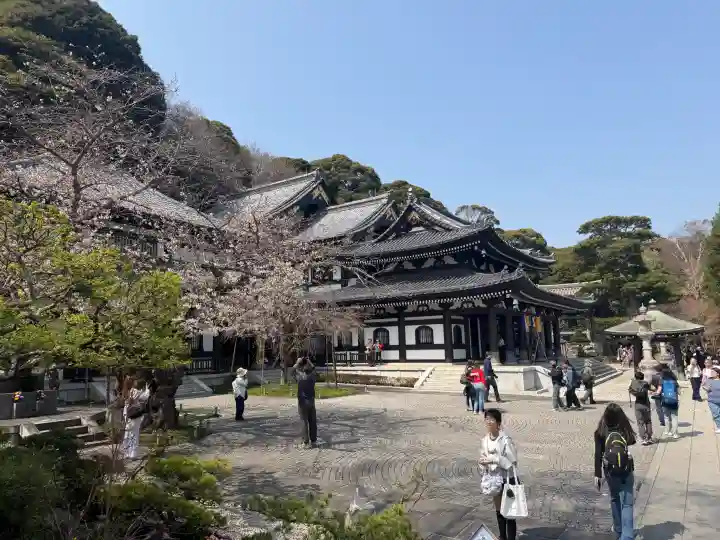 長谷寺の{uncategorized: "未分類", other: "その他", undefined: "問題あり", building: "その他建物", grave: "お墓", sacred_gate: "鳥居", guardian: "狛犬", statue: "像", buddha: "仏像", history: "歴史", nature: "自然", garden: "庭園", animal: "動物", pagoda: "塔", temizu: "手水舎", mountain_gate: "山門・神門", sanctuary: "本殿・本堂", subordinate: "末社・摂社", art: "芸術", scenery: "景色", jizo: "地蔵", ema: "絵馬", goshuin: "御朱印", omikuji: "おみくじ", items: "授与品その他", amulet: "お守り", goshuincho: "御朱印帳", eats: "食事", festival: "お祭り", votive_dance: "神楽", shichigosan: "七五三参", wedding: "結婚式", experience: "体験その他", initially: "初詣", around: "周辺", anti_infection: "感染症対策"}