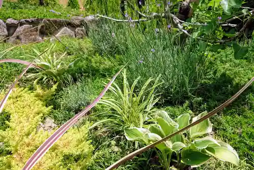 寿量山　速成寺の庭園