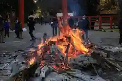 賀茂御祖神社（下鴨神社）(京都府)