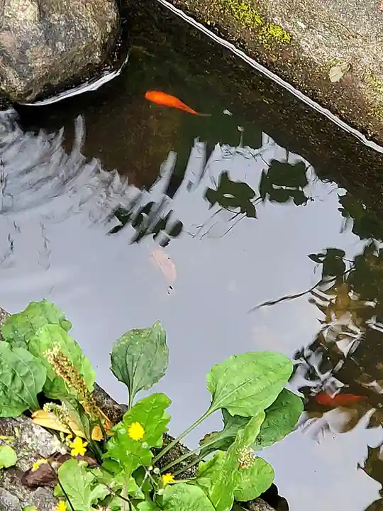 神炊館神社 ⁂奥州須賀川総鎮守⁂(福島県)