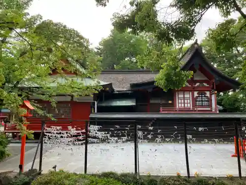 玉村八幡宮の本殿