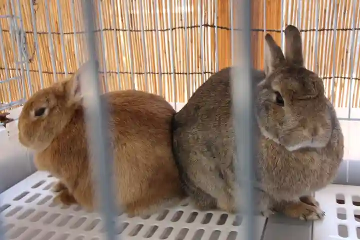 太子堂八幡神社(東京都)