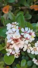 荒見神社の自然