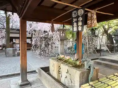 頂法寺（六角堂）(京都府)