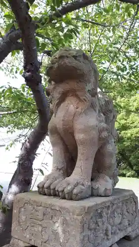 寿都神社の狛犬