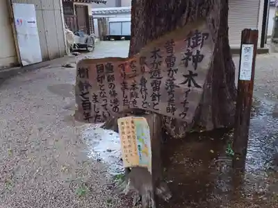 姪浜住吉神社(福岡県)