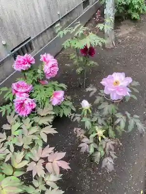 慈眼寺(神奈川県)