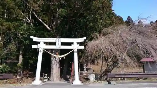 鹿島神社の鳥居