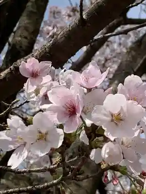 世直神社(福井県)