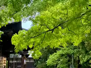 蚊里田八幡宮(長野県)(2025年05月17日(土) 09時38分52秒投稿)