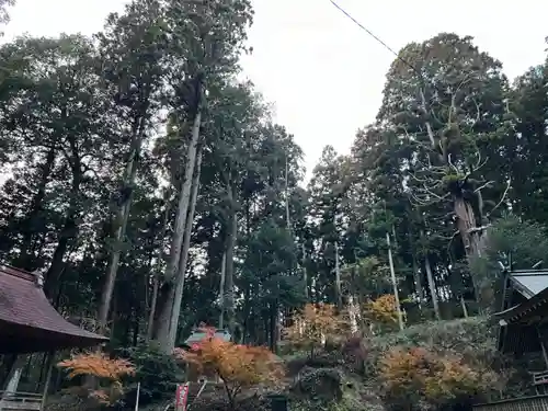 大宮温泉神社(栃木県)