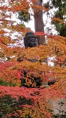 榮攝院（栄摂院）(京都府)