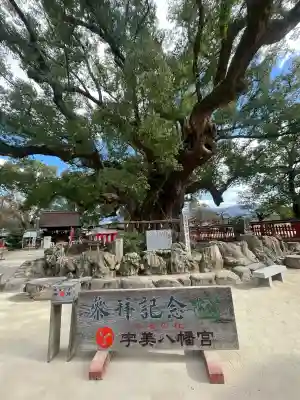 宇美八幡宮の{uncategorized: "未分類", other: "その他", undefined: "問題あり", building: "その他建物", grave: "お墓", sacred_gate: "鳥居", guardian: "狛犬", statue: "像", buddha: "仏像", history: "歴史", nature: "自然", garden: "庭園", animal: "動物", pagoda: "塔", temizu: "手水舎", mountain_gate: "山門・神門", sanctuary: "本殿・本堂", subordinate: "末社・摂社", art: "芸術", scenery: "景色", jizo: "地蔵", ema: "絵馬", goshuin: "御朱印", omikuji: "おみくじ", items: "授与品その他", amulet: "お守り", goshuincho: "御朱印帳", eats: "食事", festival: "お祭り", votive_dance: "神楽", shichigosan: "七五三参", wedding: "結婚式", experience: "体験その他", initially: "初詣", around: "周辺", anti_infection: "感染症対策"}