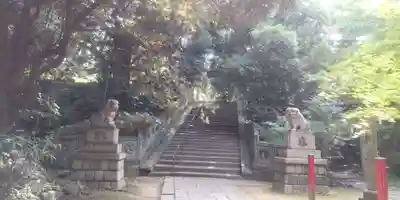 赤坂氷川神社(東京都)