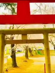 神谷稲荷神社の鳥居