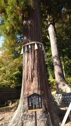 日枝神社(静岡県)