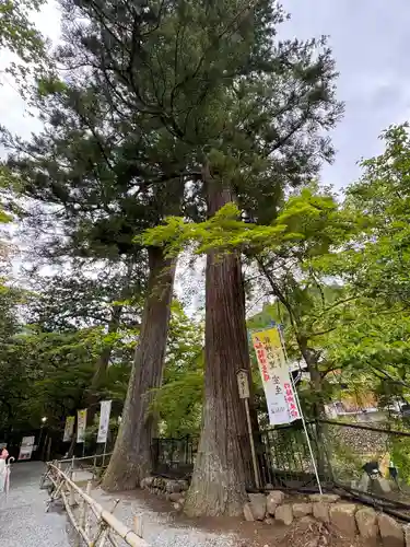 室生寺(奈良県)