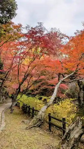 北野天満宮(京都府)