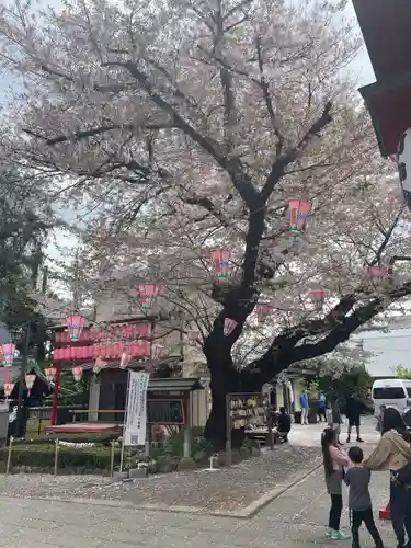 居木神社の自然