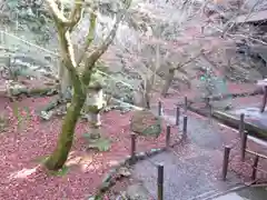 禅林寺（永観堂）の庭園