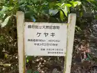杉本神社の{uncategorized: "未分類", other: "その他", undefined: "問題あり", building: "その他建物", grave: "お墓", sacred_gate: "鳥居", guardian: "狛犬", statue: "像", buddha: "仏像", history: "歴史", nature: "自然", garden: "庭園", animal: "動物", pagoda: "塔", temizu: "手水舎", mountain_gate: "山門・神門", sanctuary: "本殿・本堂", subordinate: "末社・摂社", art: "芸術", scenery: "景色", jizo: "地蔵", ema: "絵馬", goshuin: "御朱印", omikuji: "おみくじ", items: "授与品その他", amulet: "お守り", goshuincho: "御朱印帳", eats: "食事", festival: "お祭り", votive_dance: "神楽", shichigosan: "七五三参", wedding: "結婚式", experience: "体験その他", initially: "初詣", around: "周辺", anti_infection: "感染症対策"}
