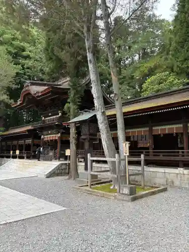 諏訪大社下社秋宮(長野県)